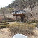 농암로(예안면) 티스토리
