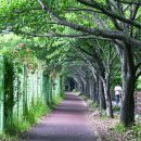 낙동제방 이미지