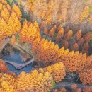 "가장 늦은 단풍이 가장 아름답네"... 11월 단풍여행으로 꼭 가볼만한 4곳 이미지