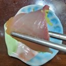 은하네집 | 설 연휴 대포항 방문기! 은하네 회 포장 솔직 후기🐟