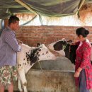 황진목장 이미지