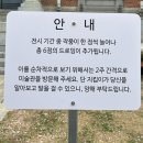 남현동-49 | 서울시립 남서울미술관 [길드는 서로들]기획전,[권진규의 영원한 집]상설전시 관람후기
