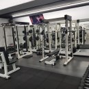 비디피트 이미지