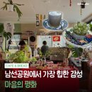 율무네애견 | 대전 탄방동 카페 마음의 평화 | 율무치즈라떼·우유푸딩 솔직후기 🥛🍮