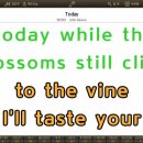 MR - Today/John Denver 이미지