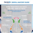 메이동물병원 이미지