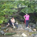 용수목 티스토리