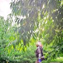 와현농장 | 장호원 '와현농원' 복숭아 체험