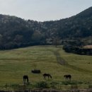 대로목장 이미지