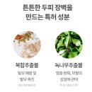 디에스투