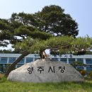 성누가약국 쿠키뉴스