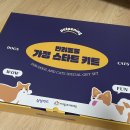 [포인핸드] 유기견 입양 후기 (with 밤이🌰)