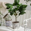 모스가든 이미지