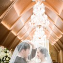 더블유스퀘어 이미지