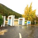 나무와중학교 이미지