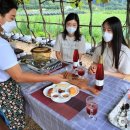 쌍류포도정원협동조합 이미지