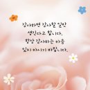 어리석은 척 못난 척 이미지