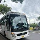 사막의섬 | (나트랑 투어) 나트랑 베나자 투어 화란섬, 원숭이섬투어 내돈내산 솔직후기