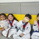 용인대 바른 태권도장 이미지