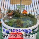 기후변화체험관 | 광주 근교 아이와 실내 가볼 만한 곳 담양 호남기후변화체험관