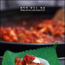 춘천닭갈비(장성) Daum카페