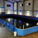 용인실내바다낚시터 이미지