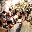 단양-단양-05 이미지