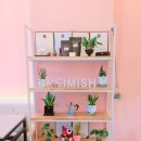 헤이미쉬(Heimish) 이미지