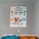 이지메디 이미지