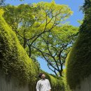 주식회사바오하우스 | 클라크 퀘이, 올드힐 경찰서, 플로랄 판타지, 플라워 돔, 클라우드 포레스트, 슈퍼 트리 쇼 후기 및 팁