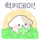 케이독 ST 이미지