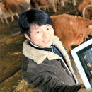 송아지 PC 이미지