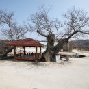 영주 만간암 이미지