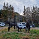 남목생활공원 | 울산 동구 남목마성 봉대산 봉호사 취재 방문 후기