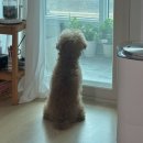 세븐스타 코인노래연습장 전주신시가지점 | 잠 1초도 못 자요 아시죠?