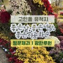 월곡2제 | 전남 화순｜고인돌 유적지｜명문제과｜남원 광한루원｜승월교
