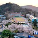 만덕초등학교 이미지