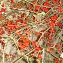 보내농장 이미지