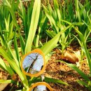 옵티션찰리대현점 이미지