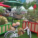 화정역광장 이미지