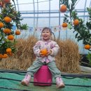 인애농장 이미지