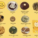 엠엠에스(MMS) 이미지