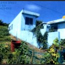 완도읍-8 이미지