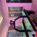 마동 탑마을 | [경주 숙소 추천] 경주 코지풀빌라 리뷰 /가족펜션 · 키즈펜션 · 단체여행 숙소로 완전 추천!