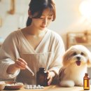 말순이네 이미지