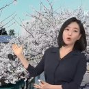 #8 3월 넷째주 아랑님 의상모음 이미지