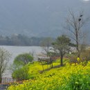 요산공원 이미지