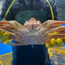 주식회사 대게킹 이미지