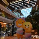 판교 태양광발전소 이미지