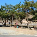 솔밭가든 이미지